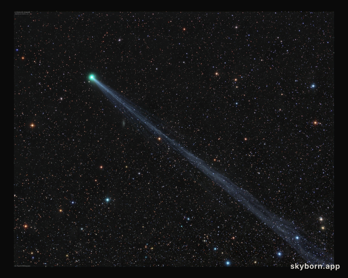 Long Tailed Comet SWAN