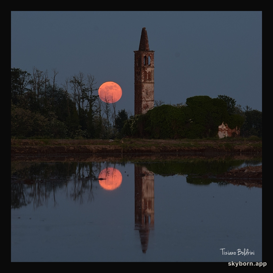 Full Flower Moonrise
