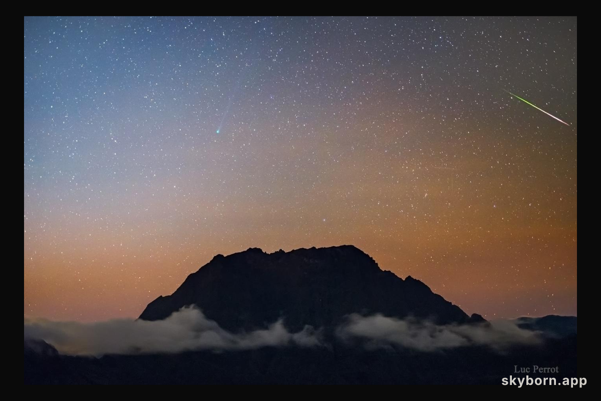 Comet Halley vs Comet SWAN