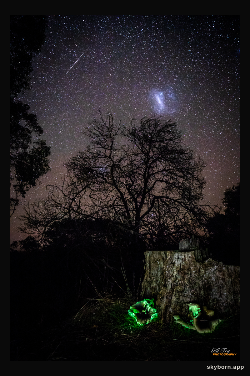 Ghost Fungus to Magellanic Cloud