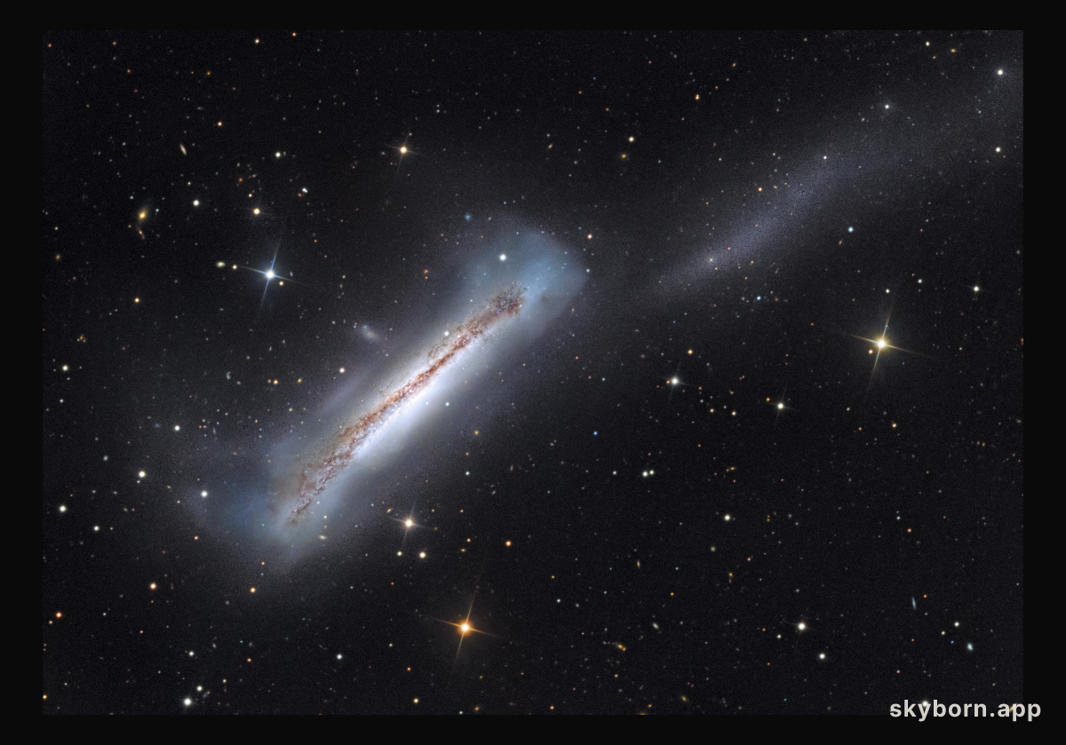 Portrait of NGC 3628