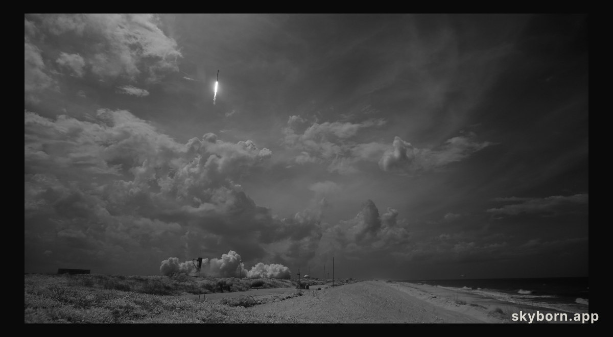 SpaceX Demo-2 Launch