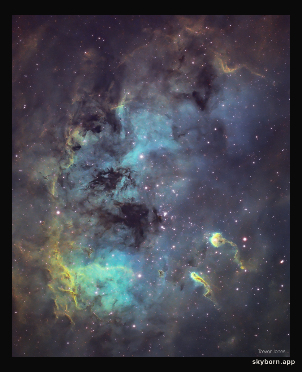 The Tadpoles of IC 410