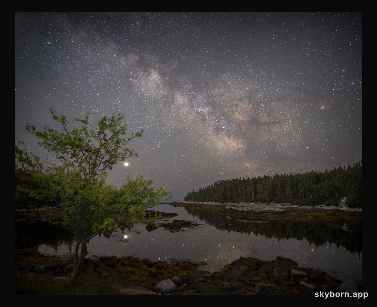 The Galaxy, the Planet, and the Apple Tree