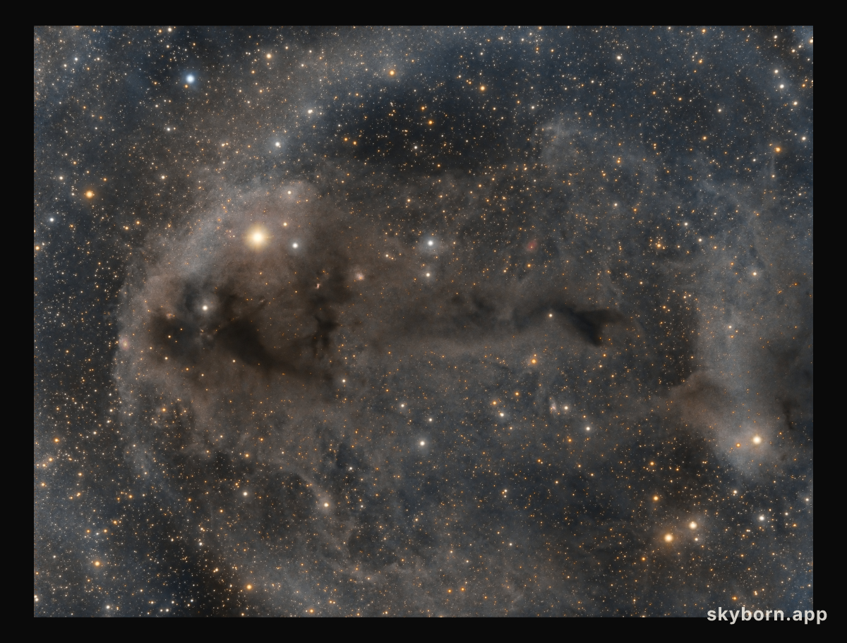 Lynds Dark Nebula 1251