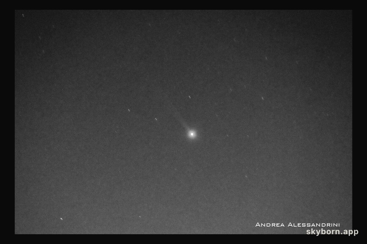 Mercury's Sodium Tail