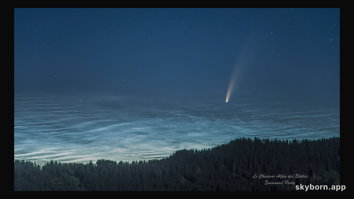 Noctilucent Clouds and Comet NEOWISE