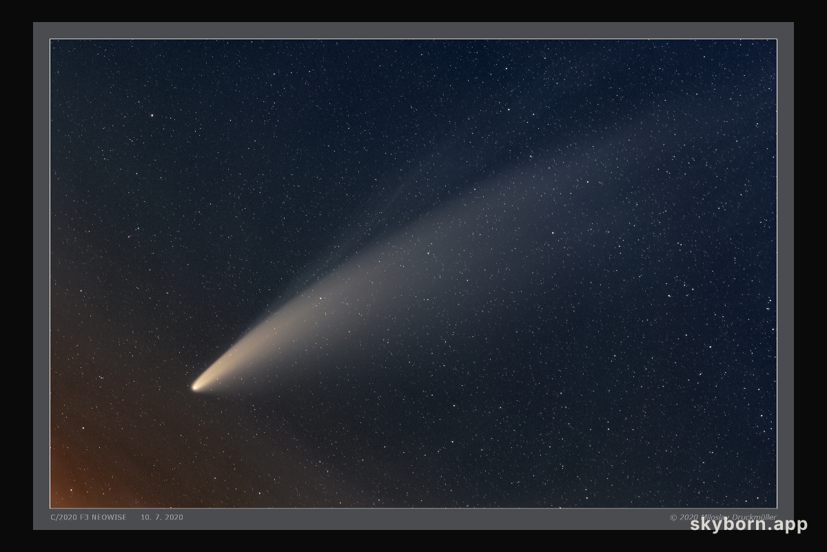 The Tails of Comet NEOWISE