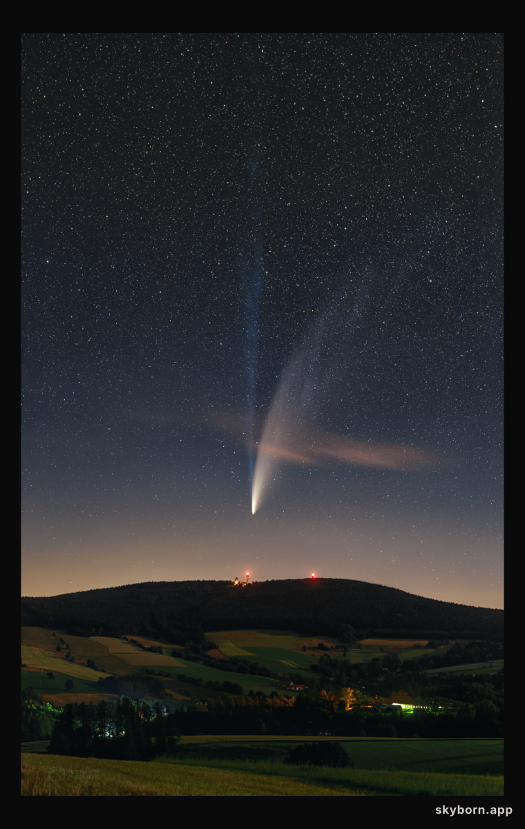 The Long Tails of Comet NEOWISE