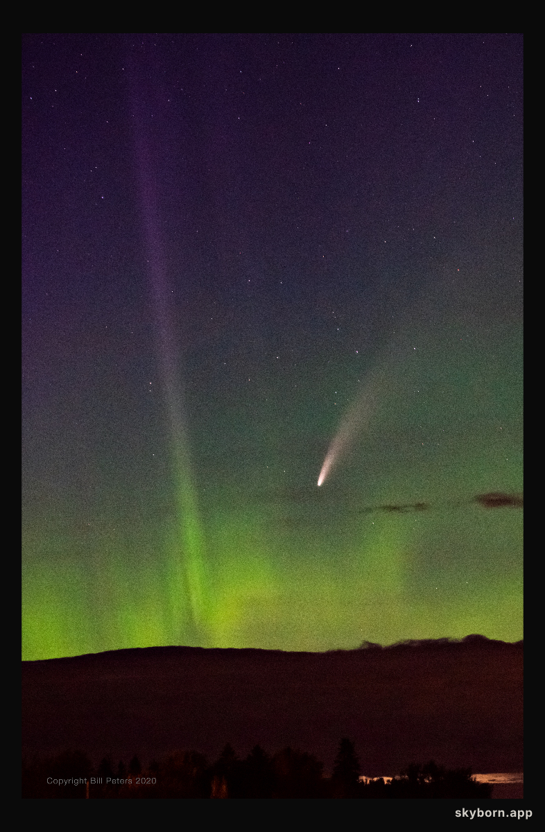 NEOWISE of the North