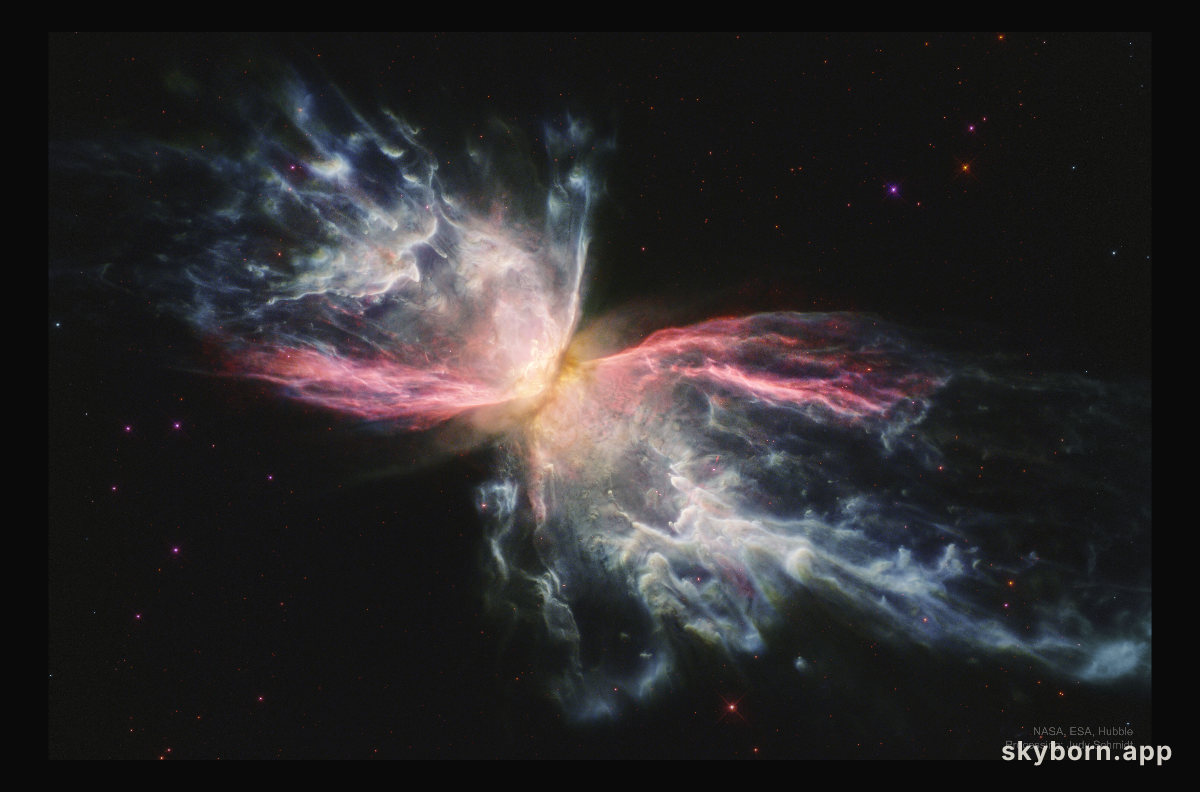 Iron in the Butterfly Nebula