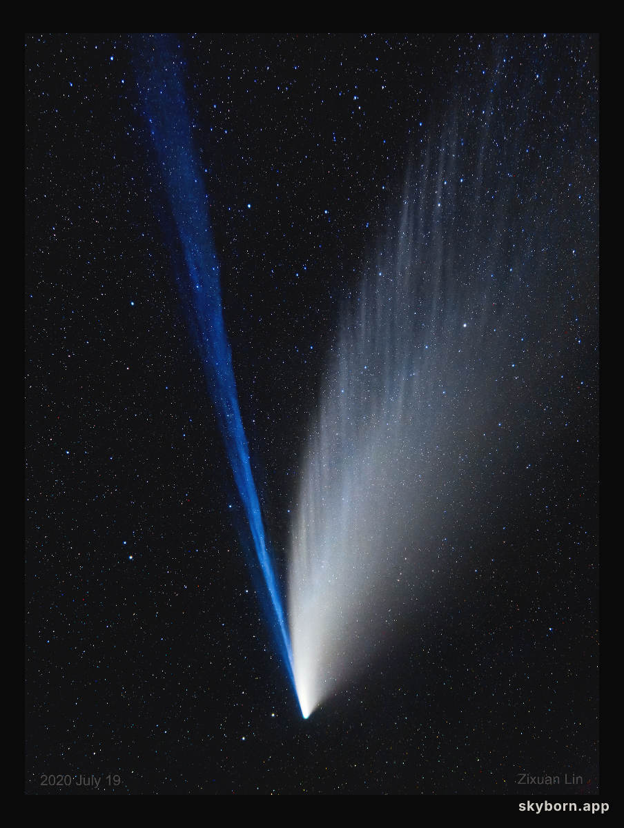 The Structured Tails of Comet NEOWISE