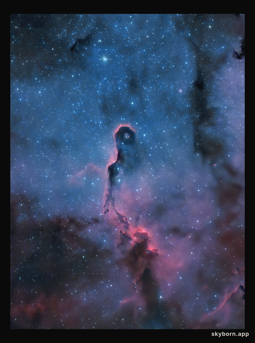 The Elephant's Trunk Nebula in Cepheus