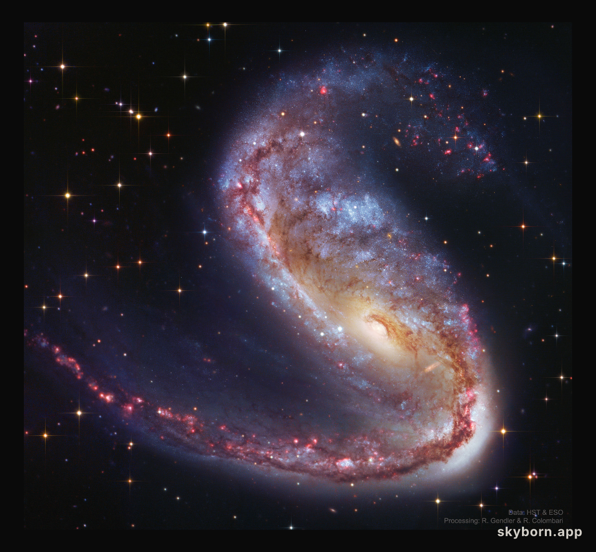 NGC 2442: Galaxy in Volans