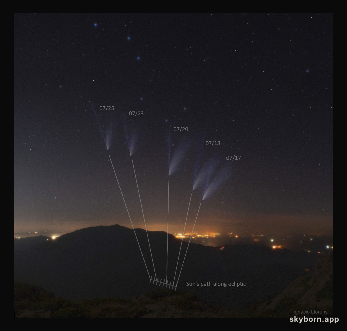 The Shifting Tails of Comet NEOWISE