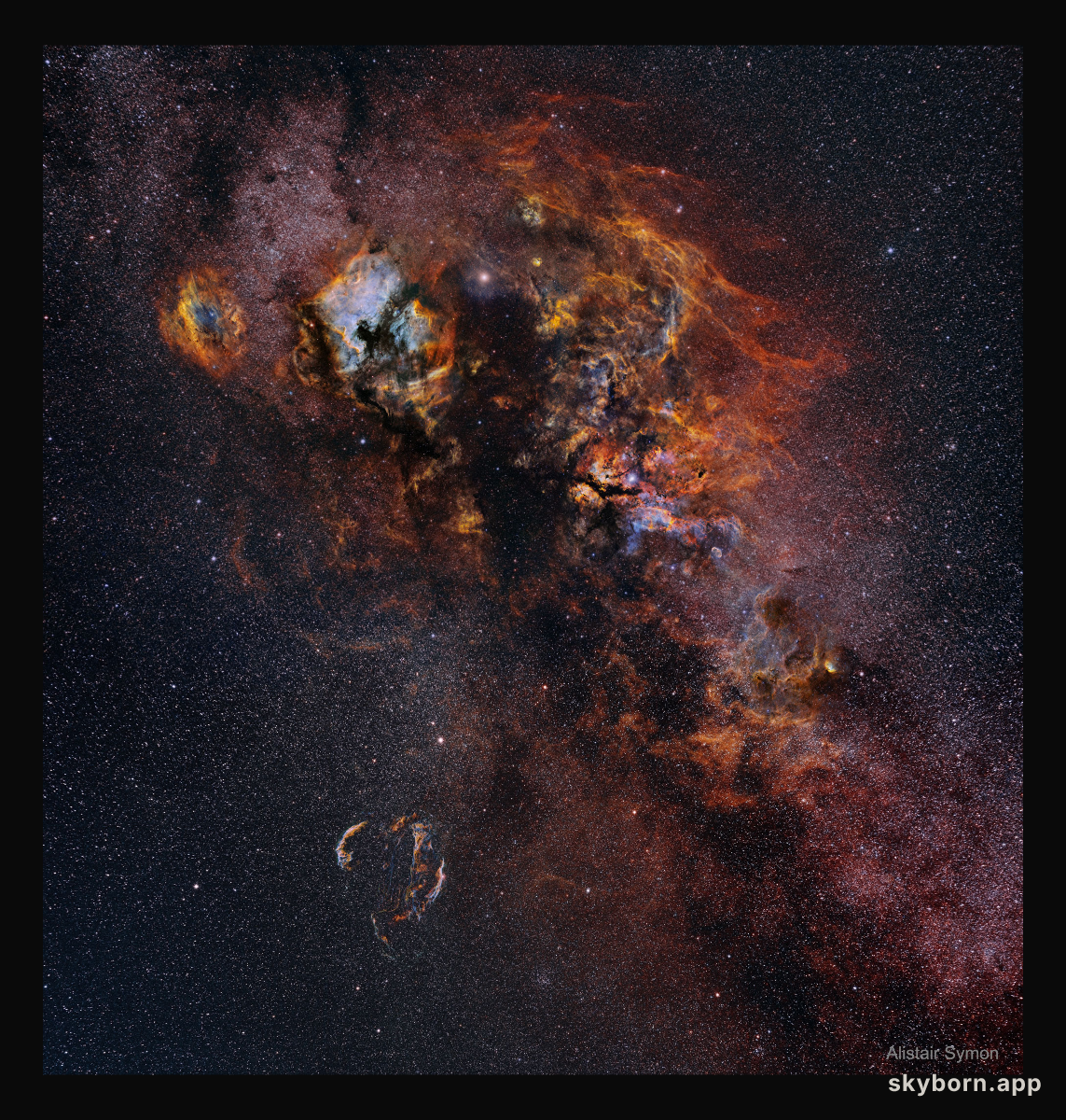 Cygnus Skyscape