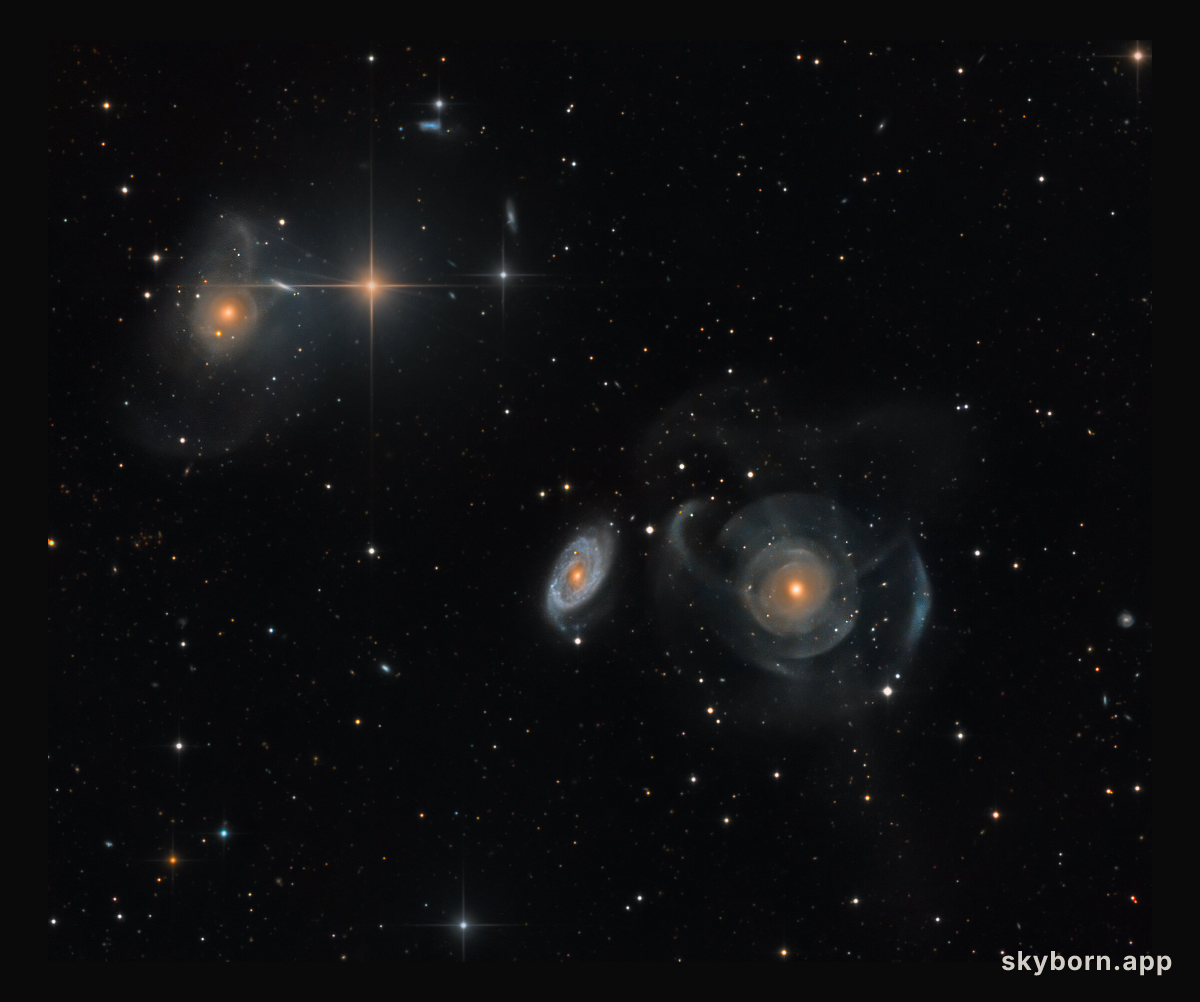 Shell Galaxies in Pisces