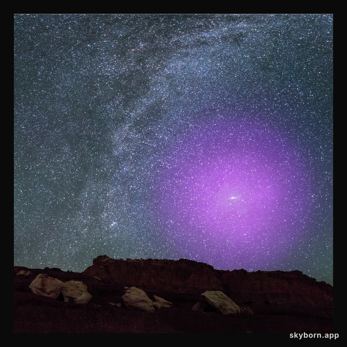 A Halo for Andromeda