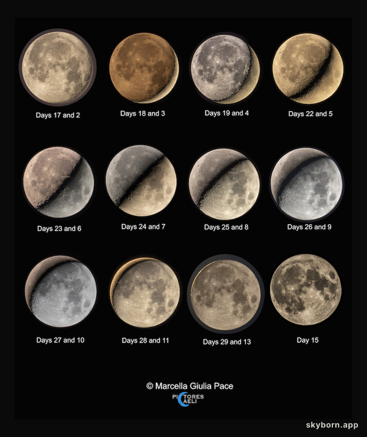 Moon Pairs and the Synodic Month