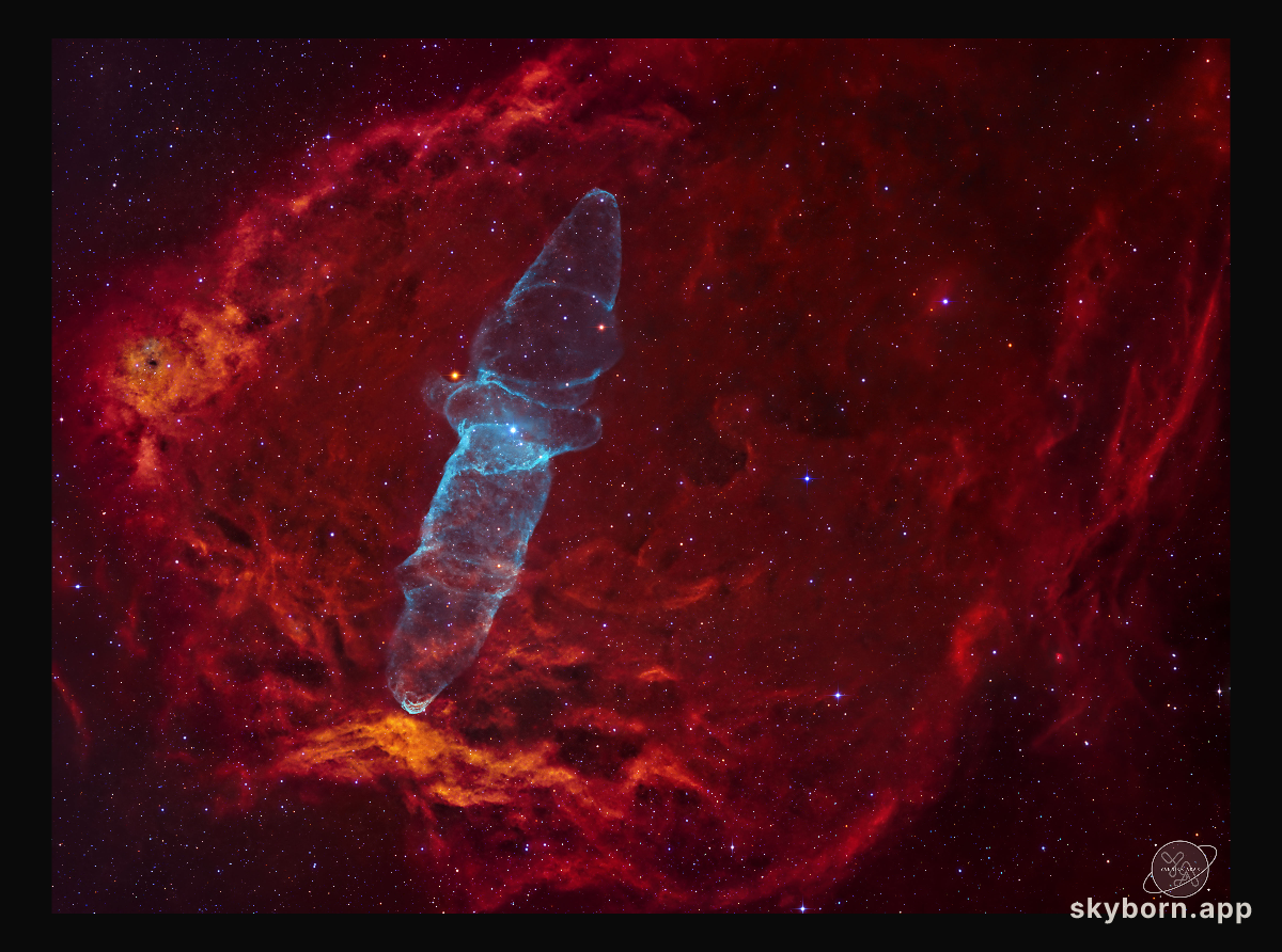 Ou4: A Giant Squid in a Flying Bat
