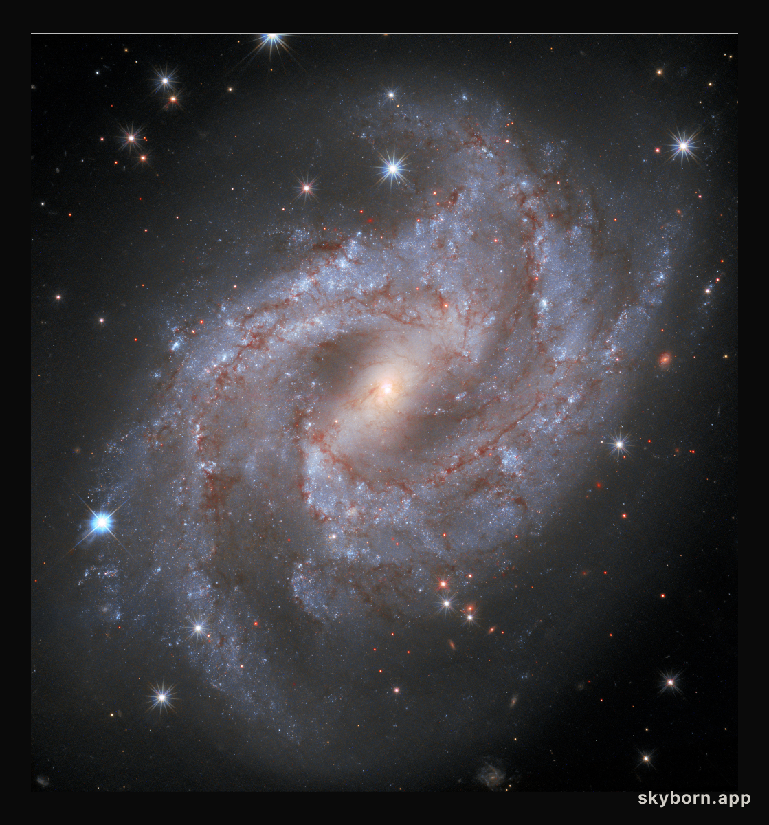 Supernova in NGC 2525