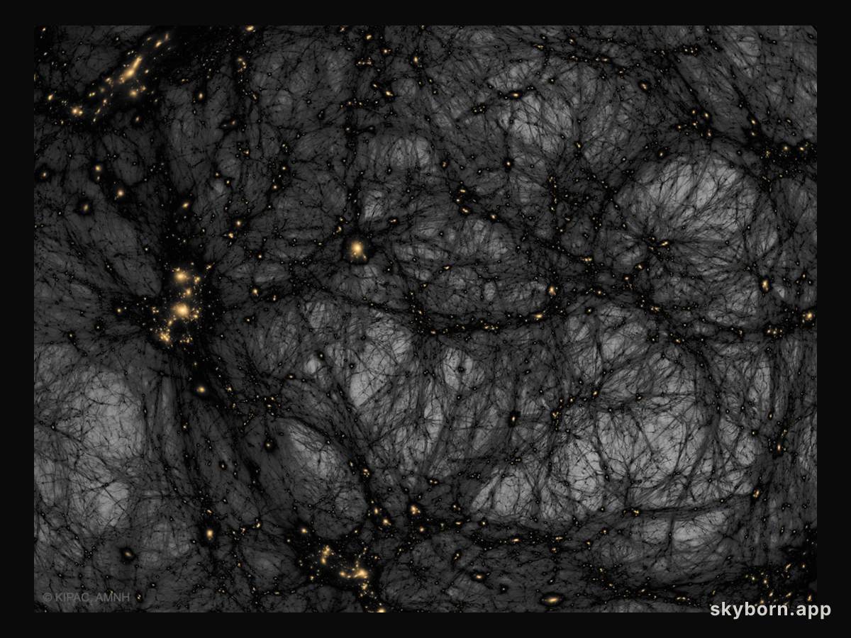Dark Matter in a Simulated Universe