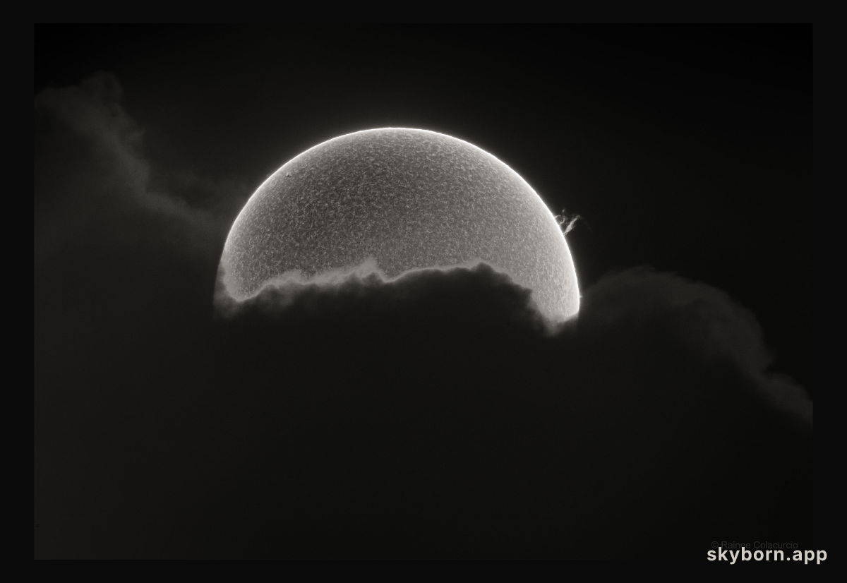 Half Sun with Prominence