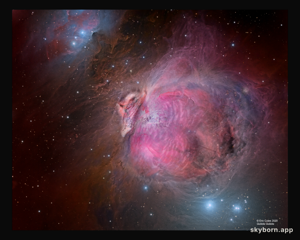 The Great Turkey Nebula
