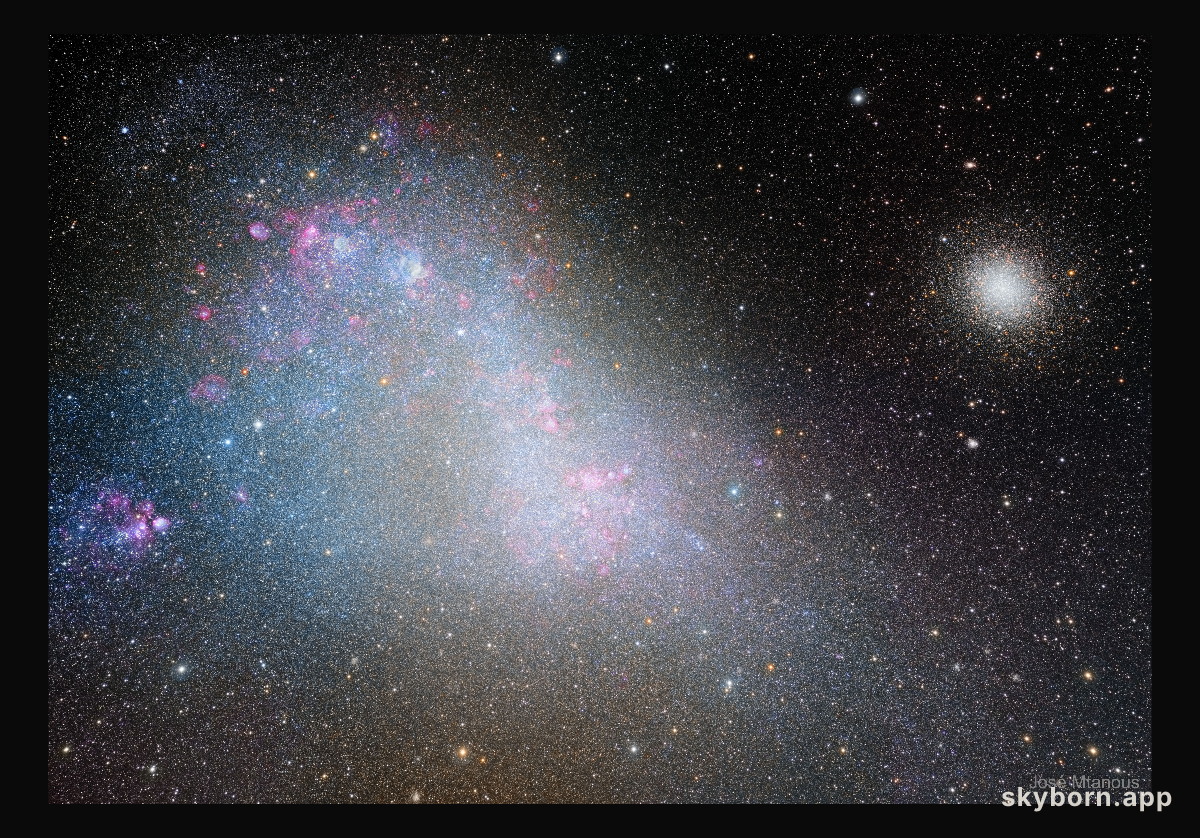 The Small Cloud of Magellan