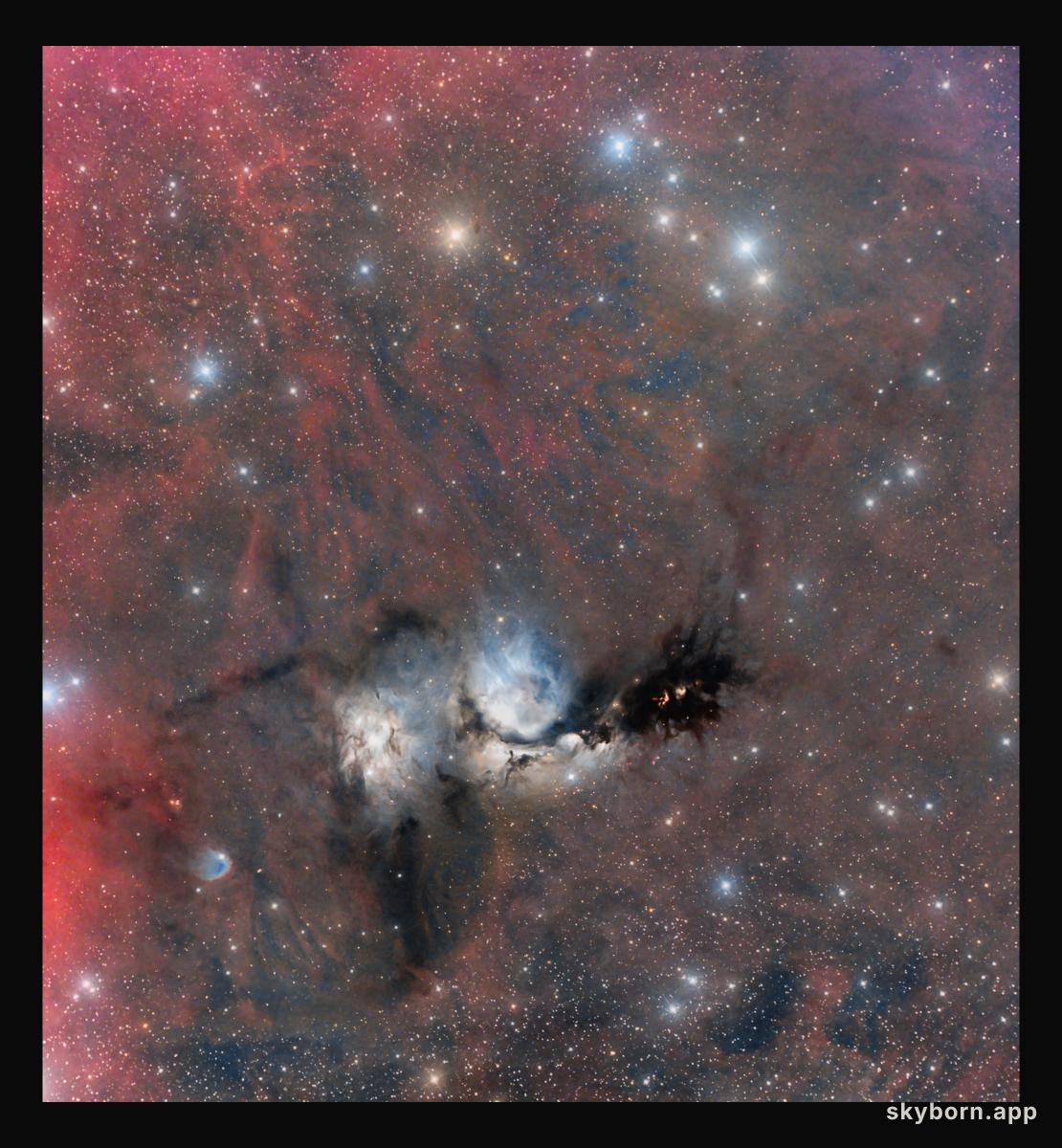 M78 Wide Field