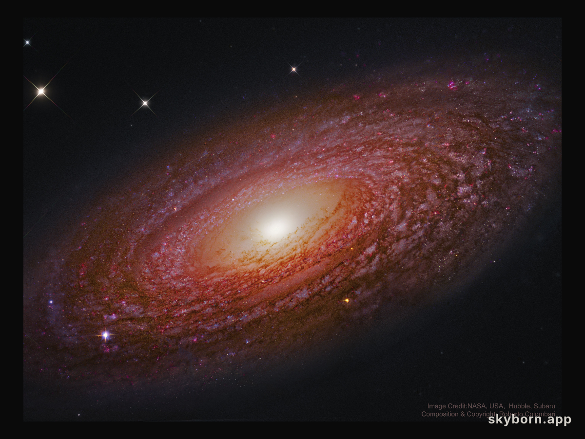 Massive Nearby Spiral Galaxy NGC 2841