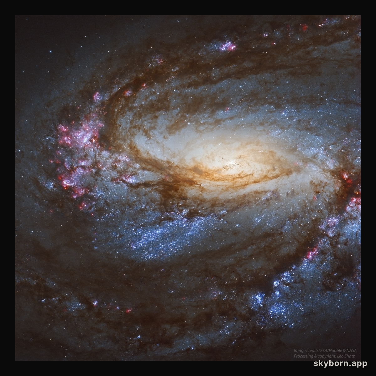 Messier 66 Close Up