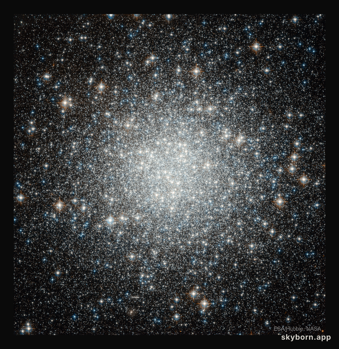 Blue Straggler Stars in Globular Cluster M53