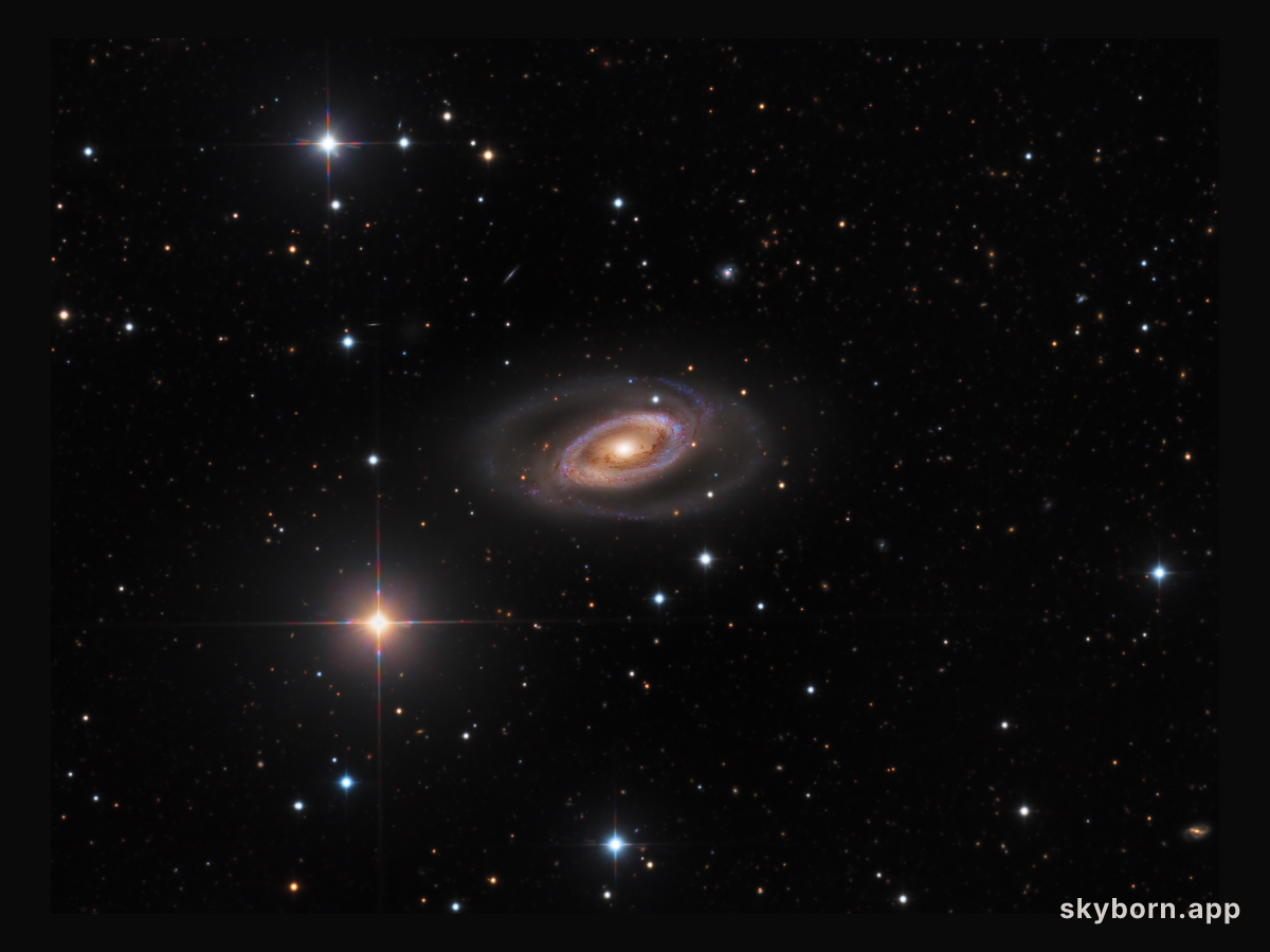 Spiral Galaxy NGC 1350