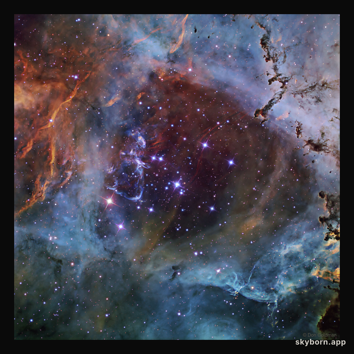 NGC 2244: A Star Cluster in the Rosette Nebula