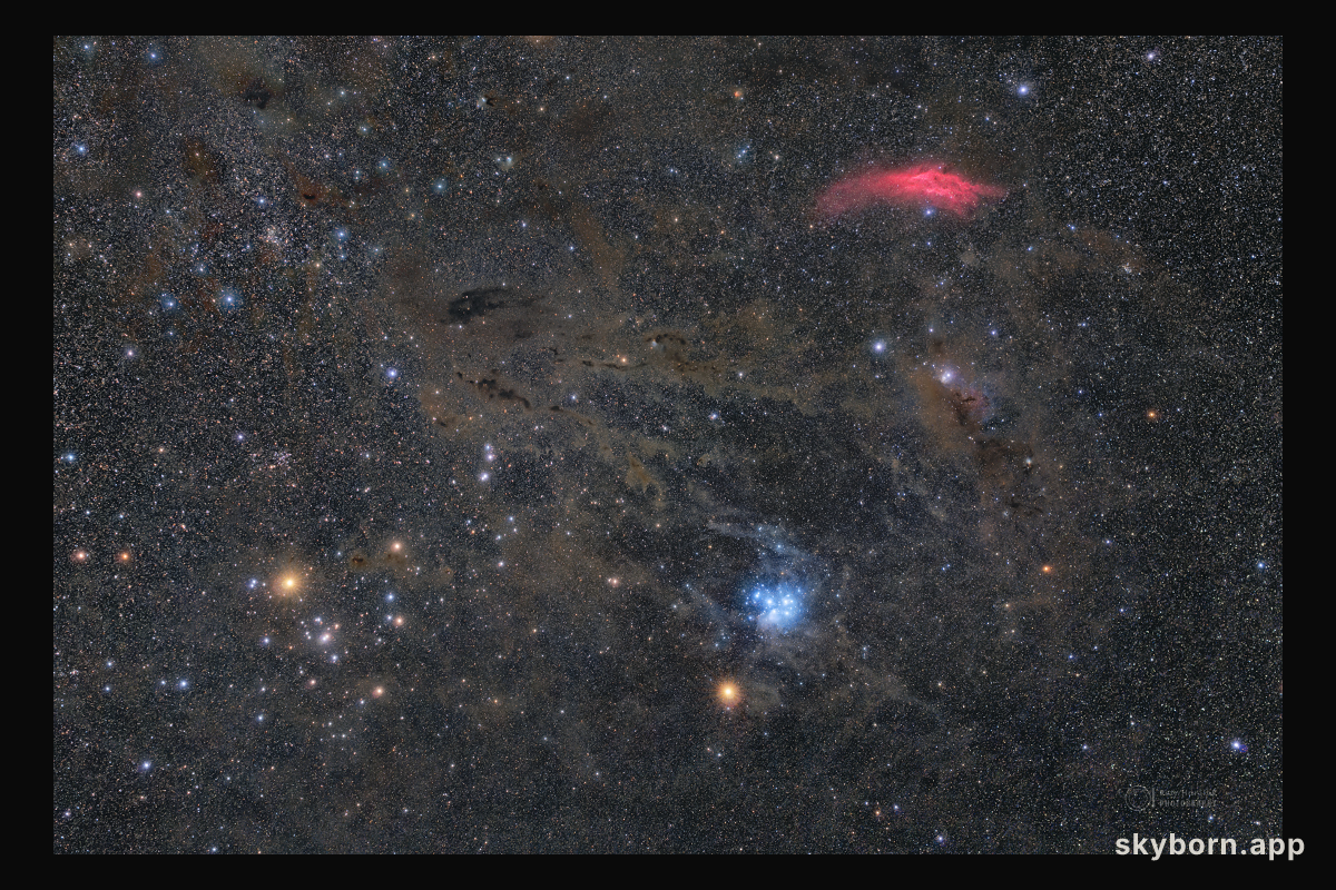 Mars in Taurus