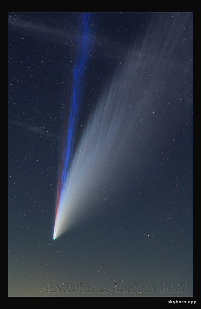 Three Tails of Comet NEOWISE