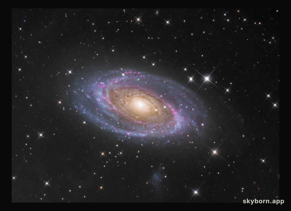 Messier 81