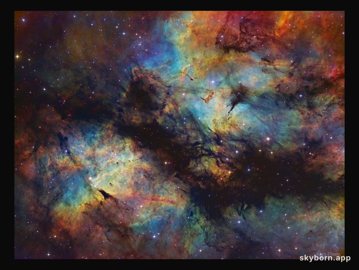 IC 1318: The Butterfly Nebula in Gas and Dust