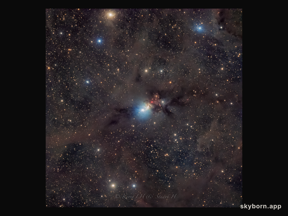 Stardust in the Perseus Molecular Cloud