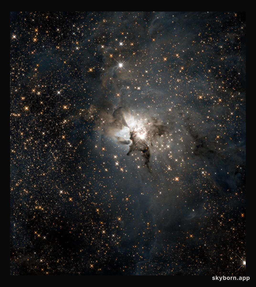 Central Lagoon in Infrared