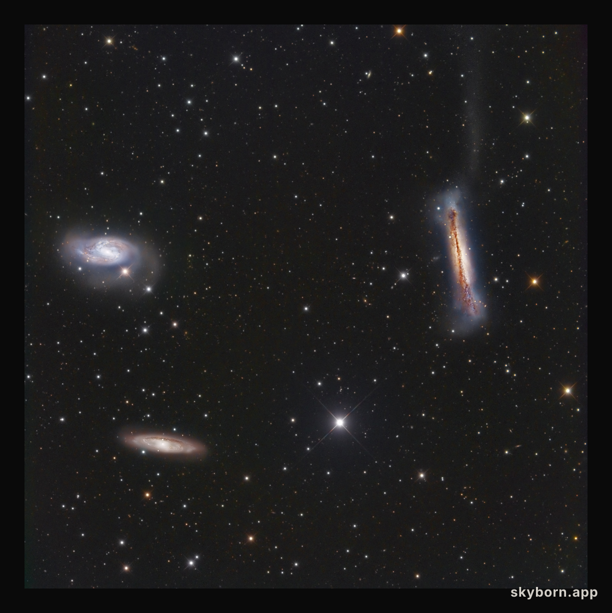 The Leo Trio