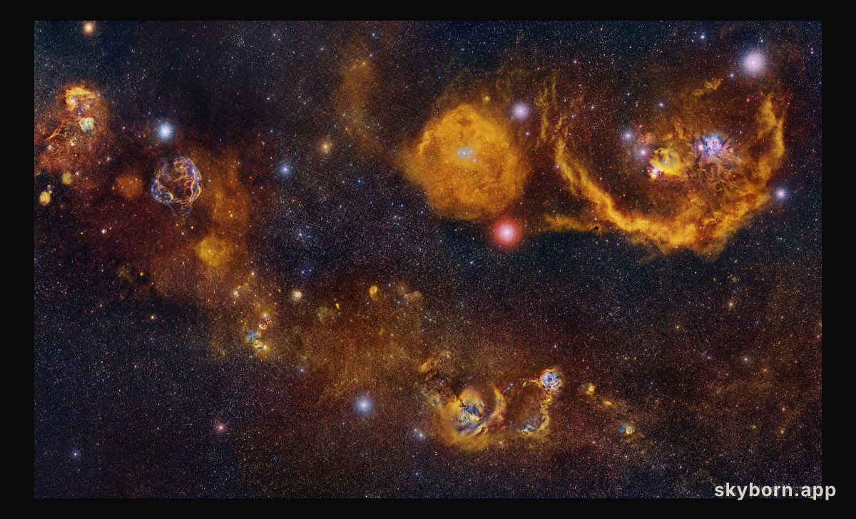 From Auriga to Orion