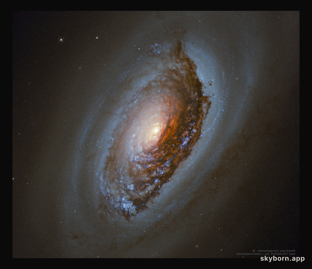 M64: The Evil Eye Galaxy