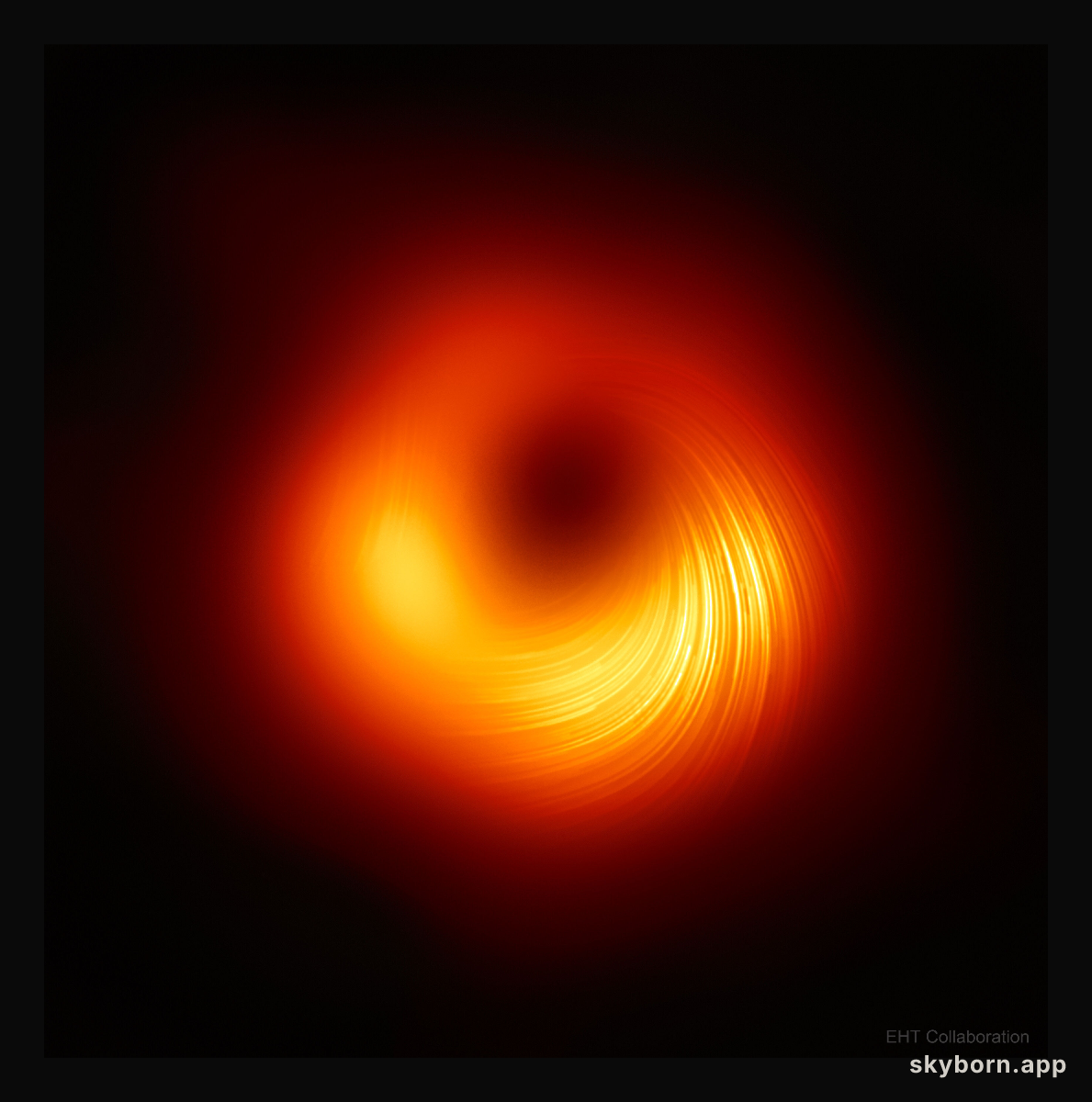 M87's Central Black Hole in Polarized Light