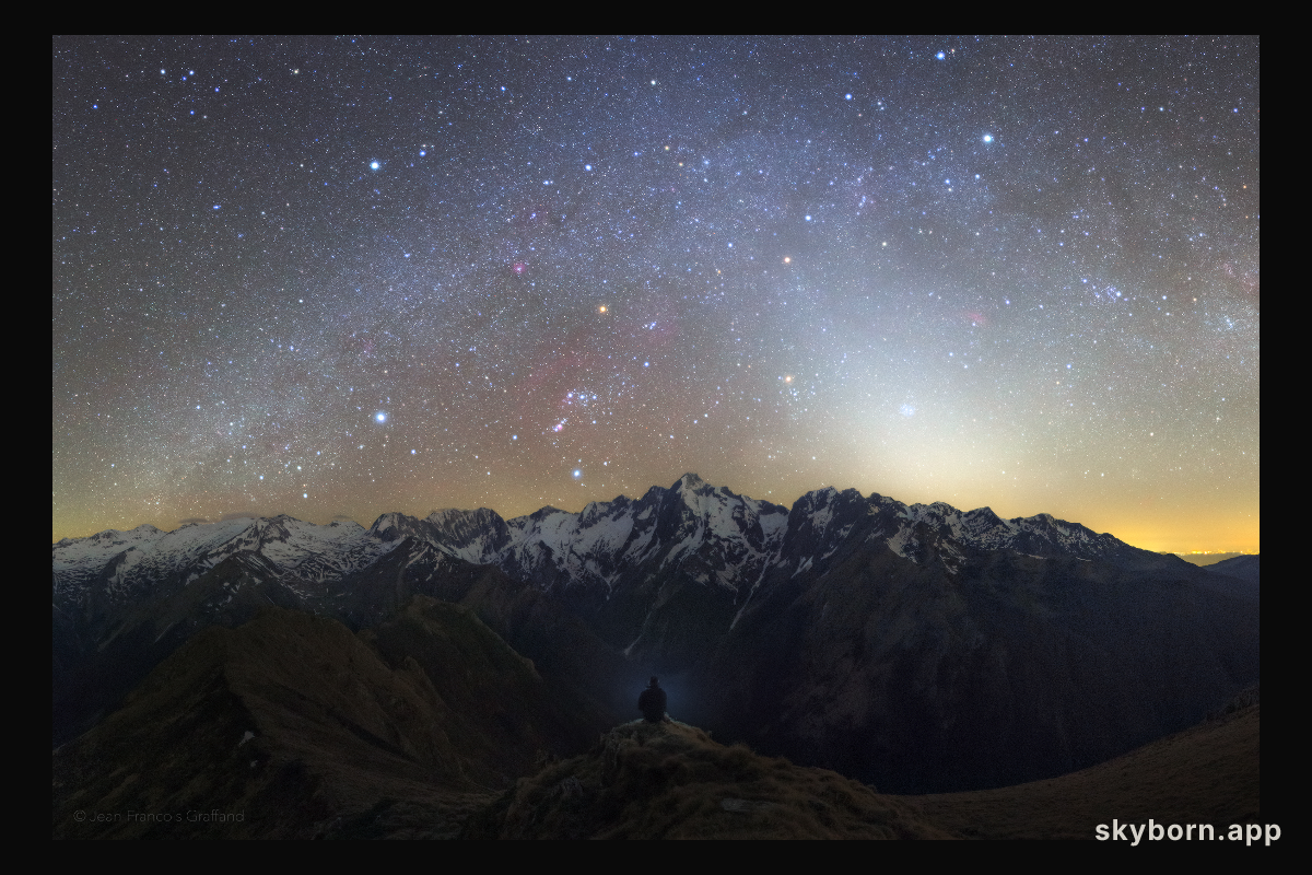 Zodiacal Night