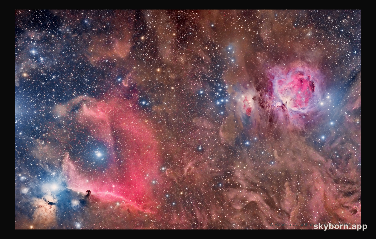 Horsehead and Orion Nebulas