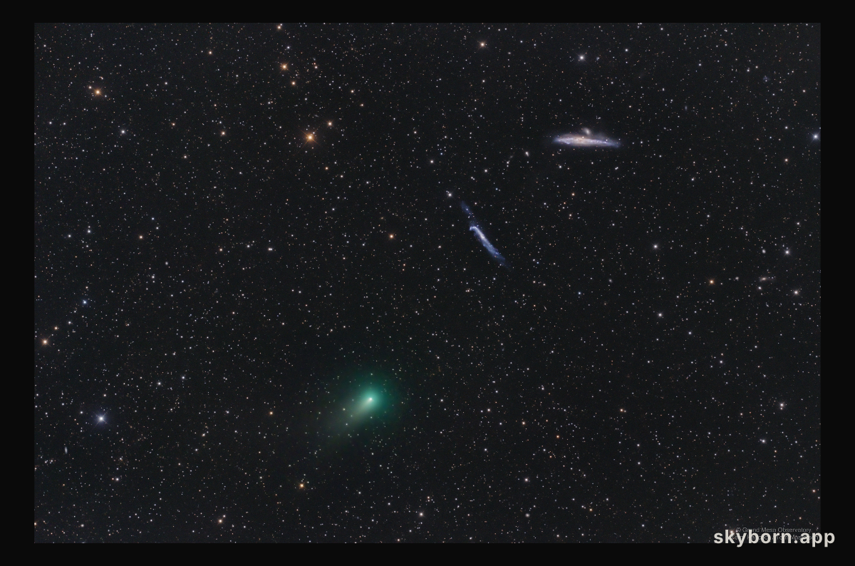 The Comet, the Whale, and the Hockey Stick