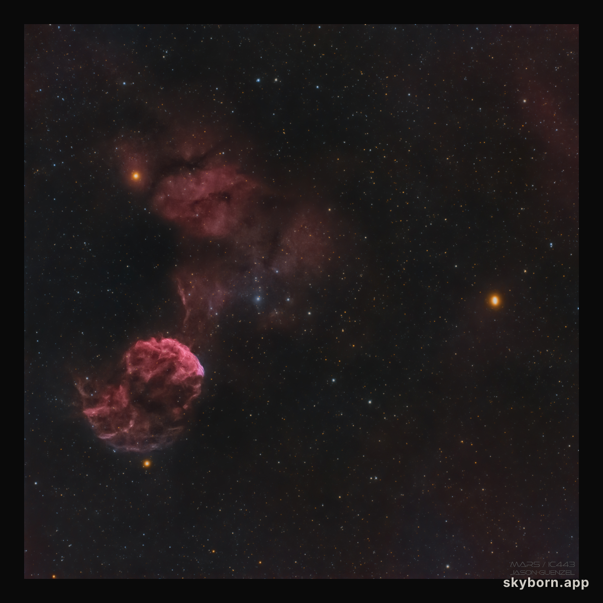 The Jellyfish and Mars