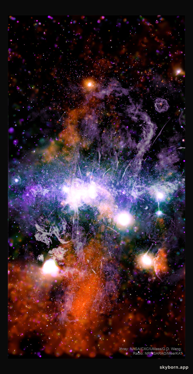 The Galactic Center in Stars, Gas, and Magnetism